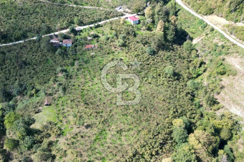 CB LİKA'DAN YEŞİLYURT'DA SATILIK ARSA