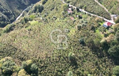 CB LİKA'DAN YEŞİLYURT'DA SATILIK ARSA