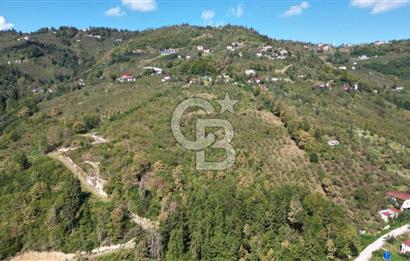 CB LİKA'DAN YEŞİLYURT'DA SATILIK ARSA