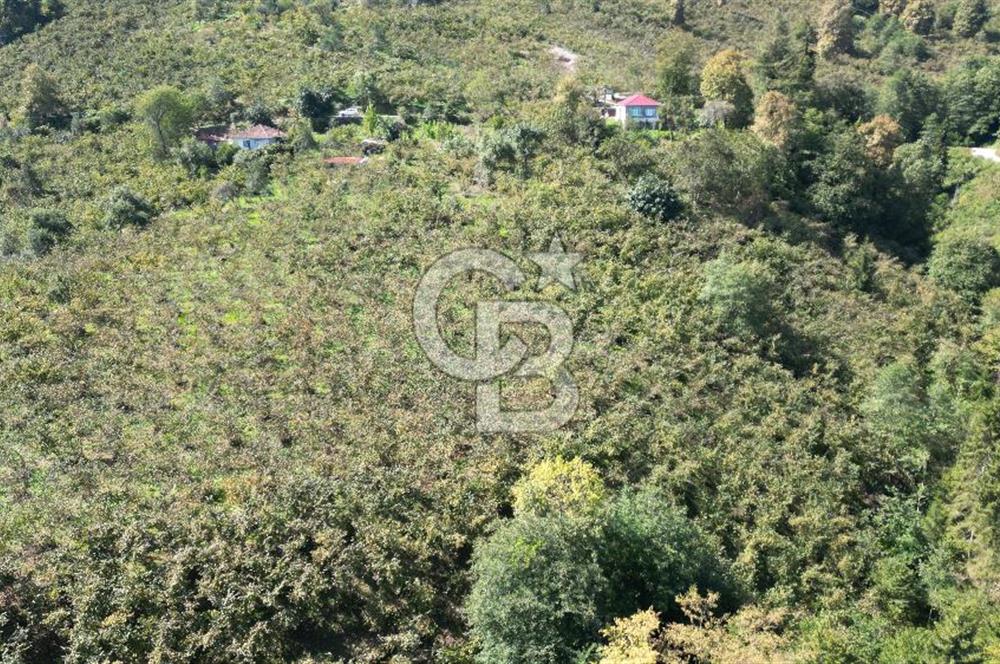 CB LİKA'DAN YEŞİLYURT'DA SATILIK ARSA