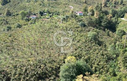 CB LİKA'DAN YEŞİLYURT'DA SATILIK ARSA