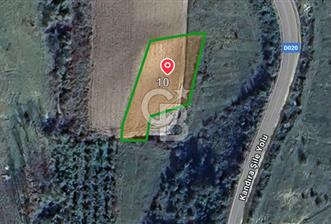 KANDIRA AKINCI'DA, ŞİLE YOLU ÜZERİNDE 1046 M2 SATILIK TARLA - 2 - 327020