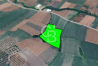 NİLÜFER/BÜYÜKBALIKLI DA SATILIK YATIRIMLIK TARLA - 1 - 327004