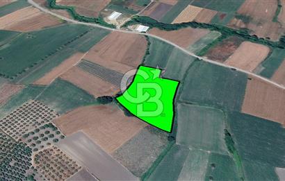 NİLÜFER/BÜYÜKBALIKLI DA SATILIK YATIRIMLIK TARLA