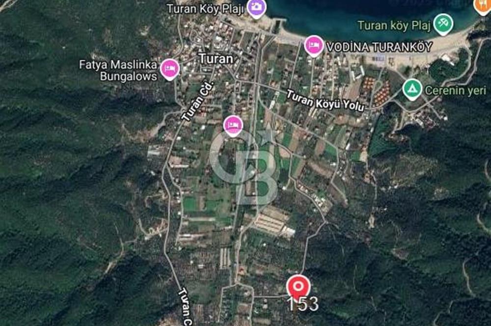 ERDEK TURAN KÖYÜNDE DENİZE 1 KM MESAFEDE 5 DÖNÜM ZEYTİNLİK