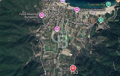 ERDEK TURAN KÖYÜNDE DENİZE 1 KM MESAFEDE 5 DÖNÜM ZEYTİNLİK