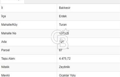 ERDEK TURAN KÖYÜNDE HARİKA KONUMDA 4.5 DÖNÜM ZEYTİNLİK