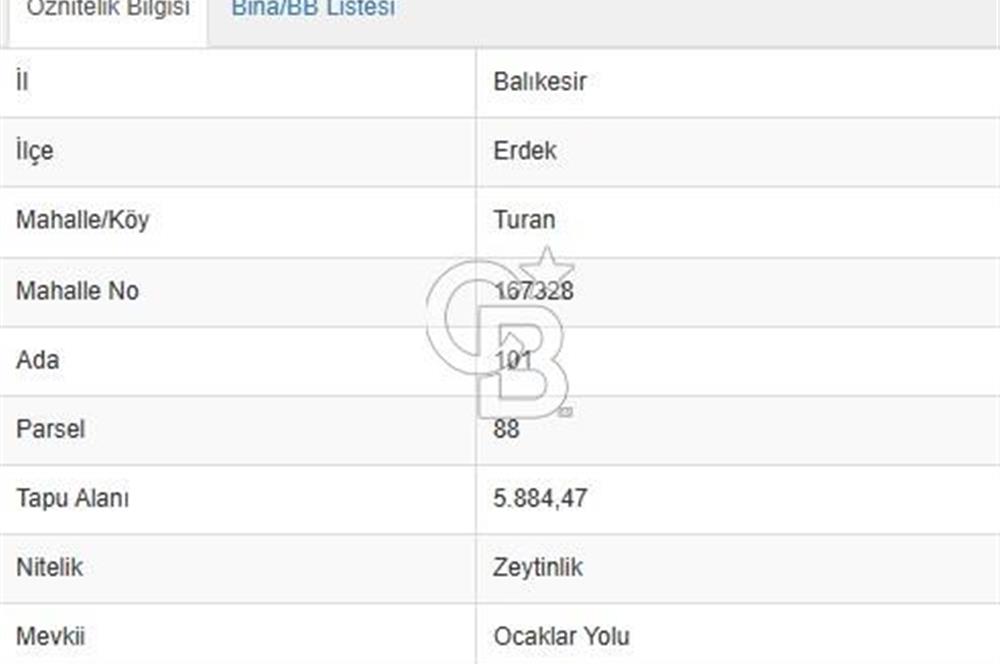 ERDEK TURAN KÖYÜNDE DENİZE YÜRÜYÜŞ MESAFESİNDE 6 DÖNÜM ZEYTİNLİK