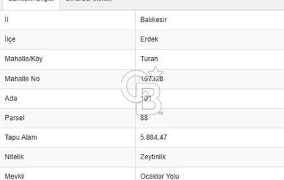 ERDEK TURAN KÖYÜNDE DENİZE YÜRÜYÜŞ MESAFESİNDE 6 DÖNÜM ZEYTİNLİK