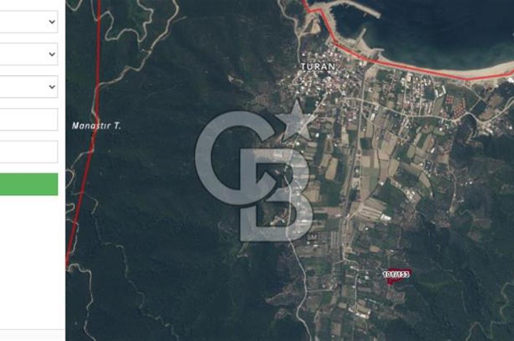 ERDEK TURAN KÖYÜNDE DENİZE 1 KM MESAFEDE 5 DÖNÜM ZEYTİNLİK