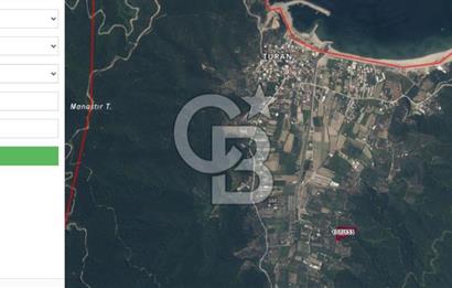 ERDEK TURAN KÖYÜNDE DENİZE 1 KM MESAFEDE 5 DÖNÜM ZEYTİNLİK