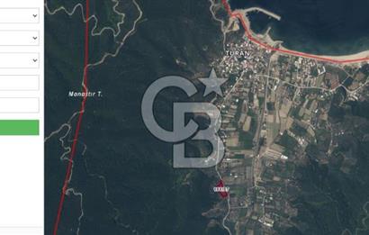 ERDEK TURAN KÖYÜNDE HARİKA KONUMDA 4.5 DÖNÜM ZEYTİNLİK