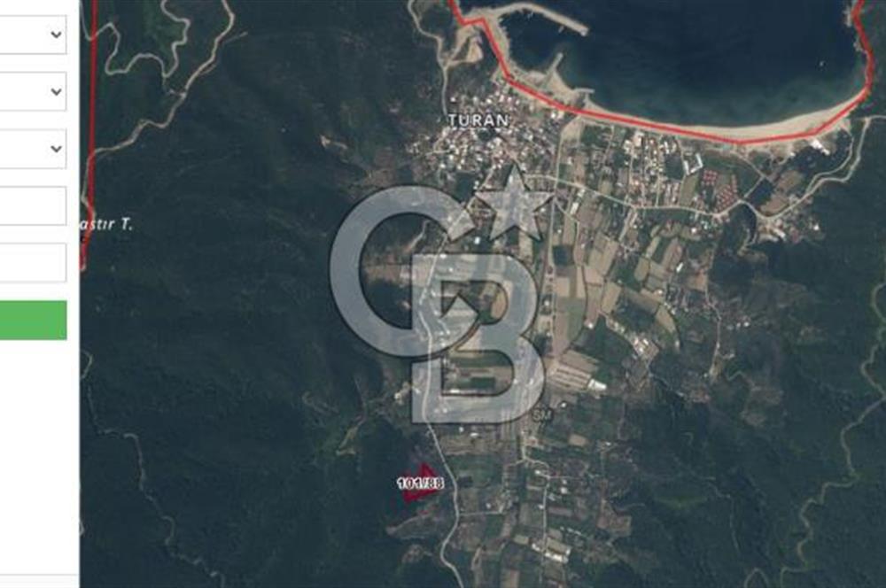 ERDEK TURAN KÖYÜNDE DENİZE YÜRÜYÜŞ MESAFESİNDE 6 DÖNÜM ZEYTİNLİK