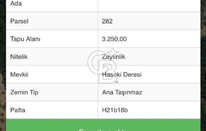 BURSA MUDANYA YÖRÜKALİ’de SATILIK ZEYTİNLİK