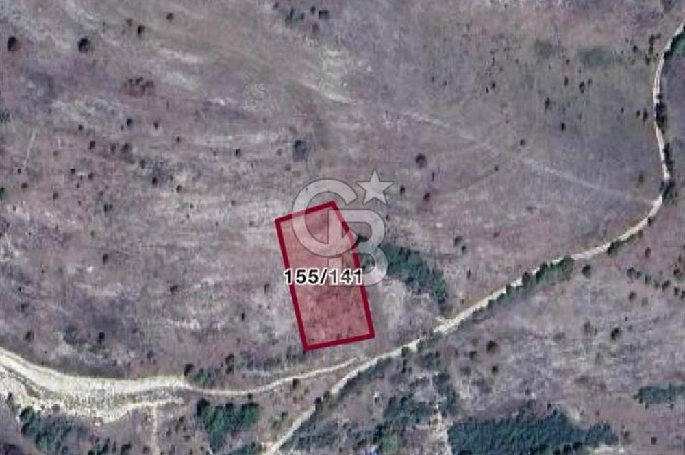 KOCAELİ KANDIRA'DA 2866 M2 SATILIK TARLA!