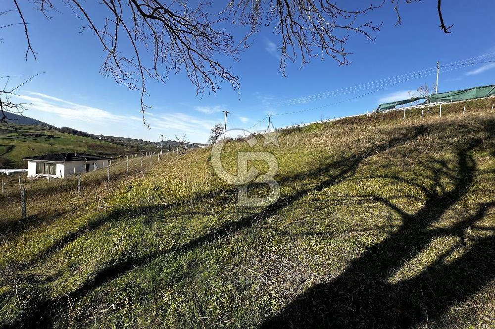 CB ATLAS'TAN KANDIRA AHMETHACILAR'DA YOLA CEPHE 614 m2 ARAZİ