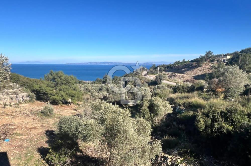 Karaburun İnecik'te İçerisinde 4+1 Müstakil Villa Bulunan Arazi