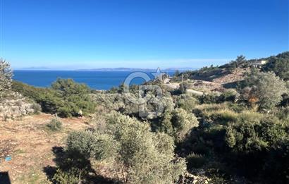 Karaburun İnecik'te İçerisinde 4+1 Müstakil Villa Bulunan Arazi