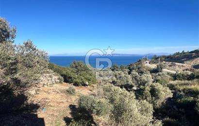 Karaburun İnecik'te İçerisinde 4+1 Müstakil Villa Bulunan Arazi