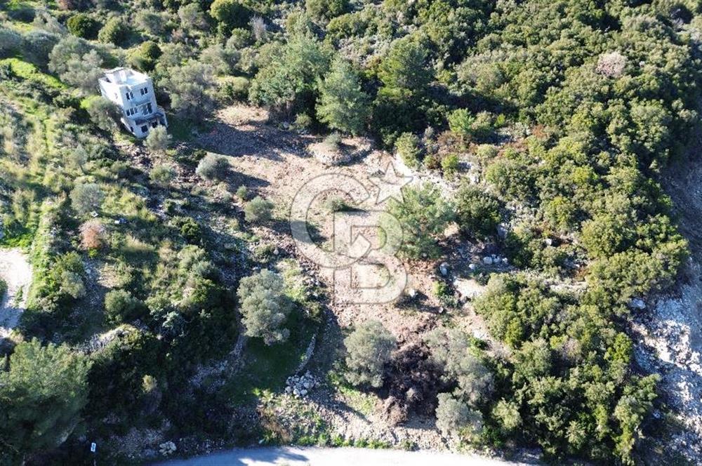 Karaburun İnecik'te İçerisinde 4+1 Müstakil Villa Bulunan Arazi