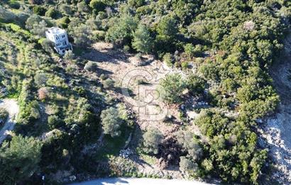 Karaburun İnecik'te İçerisinde 4+1 Müstakil Villa Bulunan Arazi