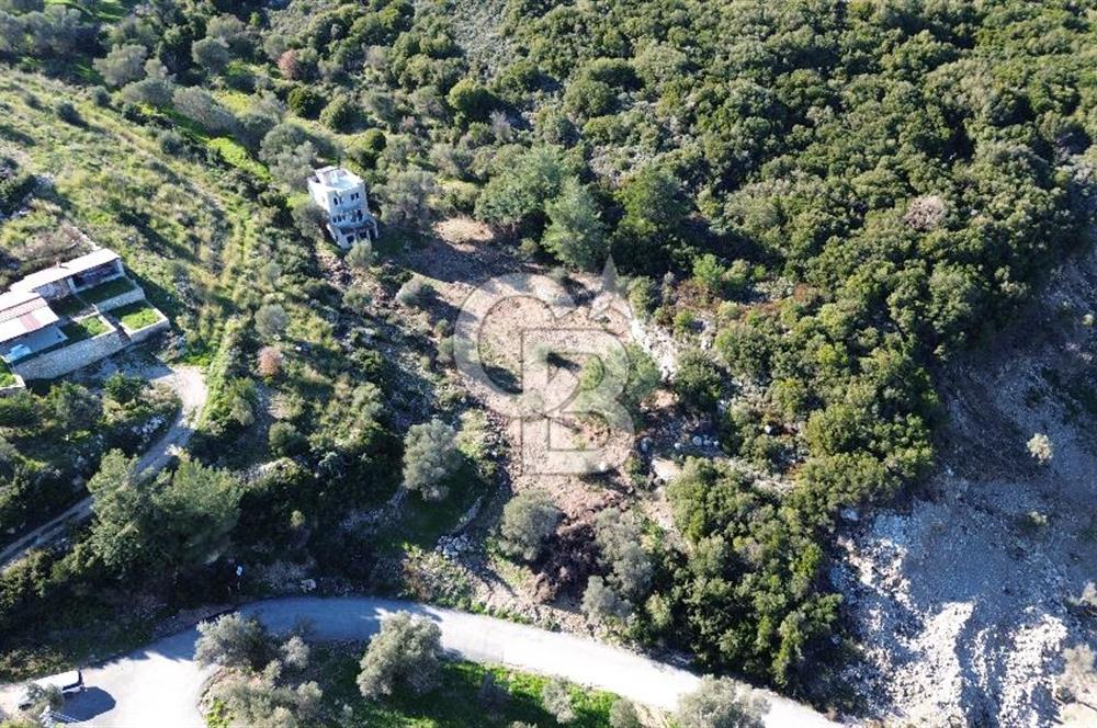 Karaburun İnecik'te İçerisinde 4+1 Müstakil Villa Bulunan Arazi