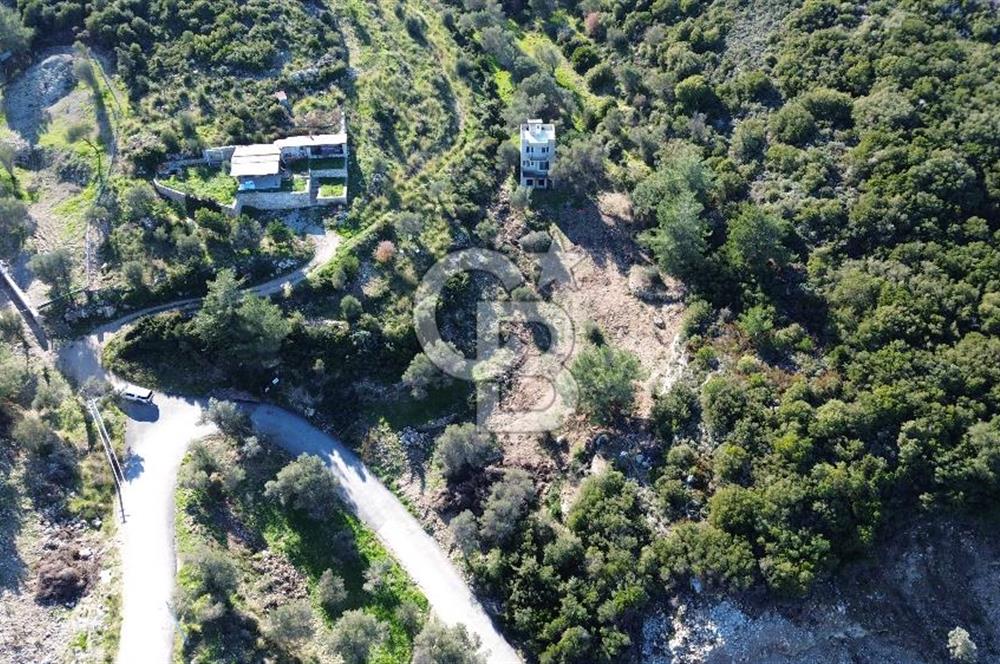 Karaburun İnecik'te İçerisinde 4+1 Müstakil Villa Bulunan Arazi