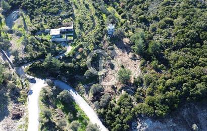 Karaburun İnecik'te İçerisinde 4+1 Müstakil Villa Bulunan Arazi