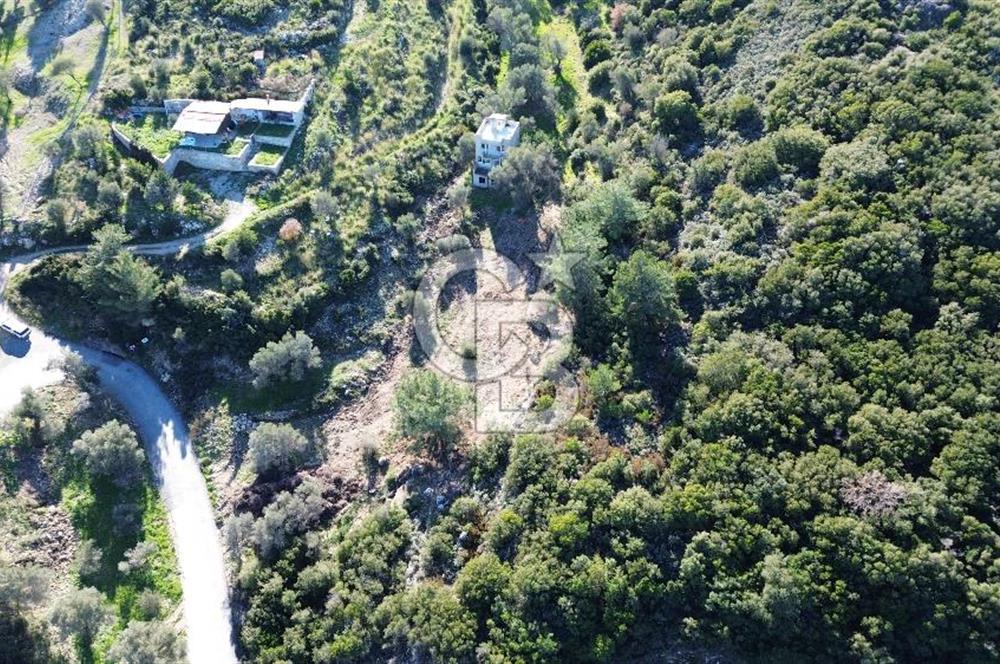 Karaburun İnecik'te İçerisinde 4+1 Müstakil Villa Bulunan Arazi