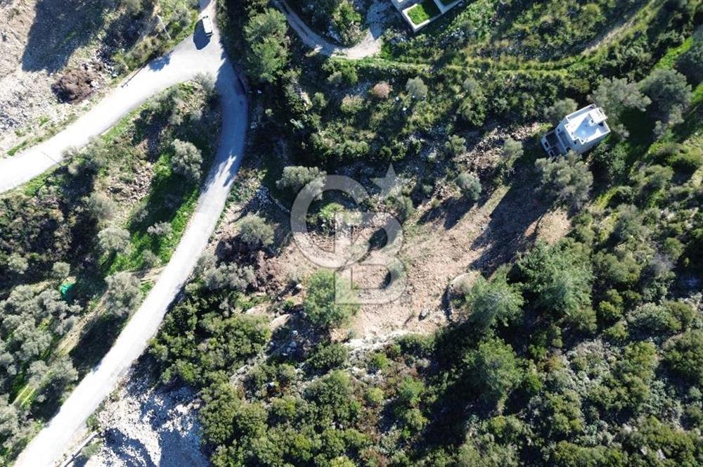 Karaburun İnecik'te İçerisinde 4+1 Müstakil Villa Bulunan Arazi