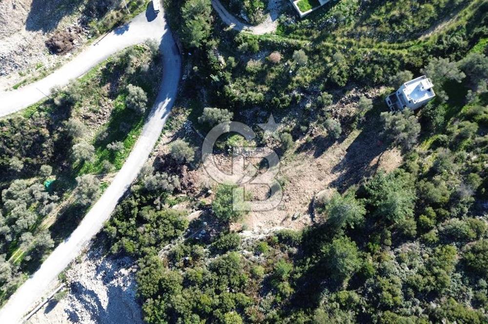 Karaburun İnecik'te İçerisinde 4+1 Müstakil Villa Bulunan Arazi