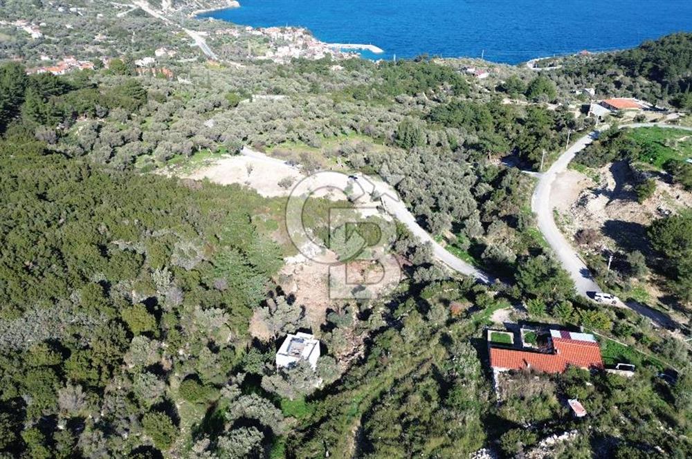 Karaburun İnecik'te İçerisinde 4+1 Müstakil Villa Bulunan Arazi