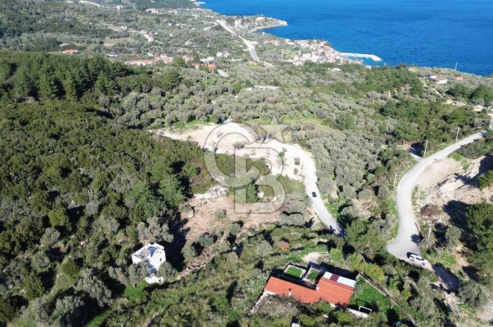 Karaburun İnecik'te İçerisinde 4+1 Müstakil Villa Bulunan Arazi