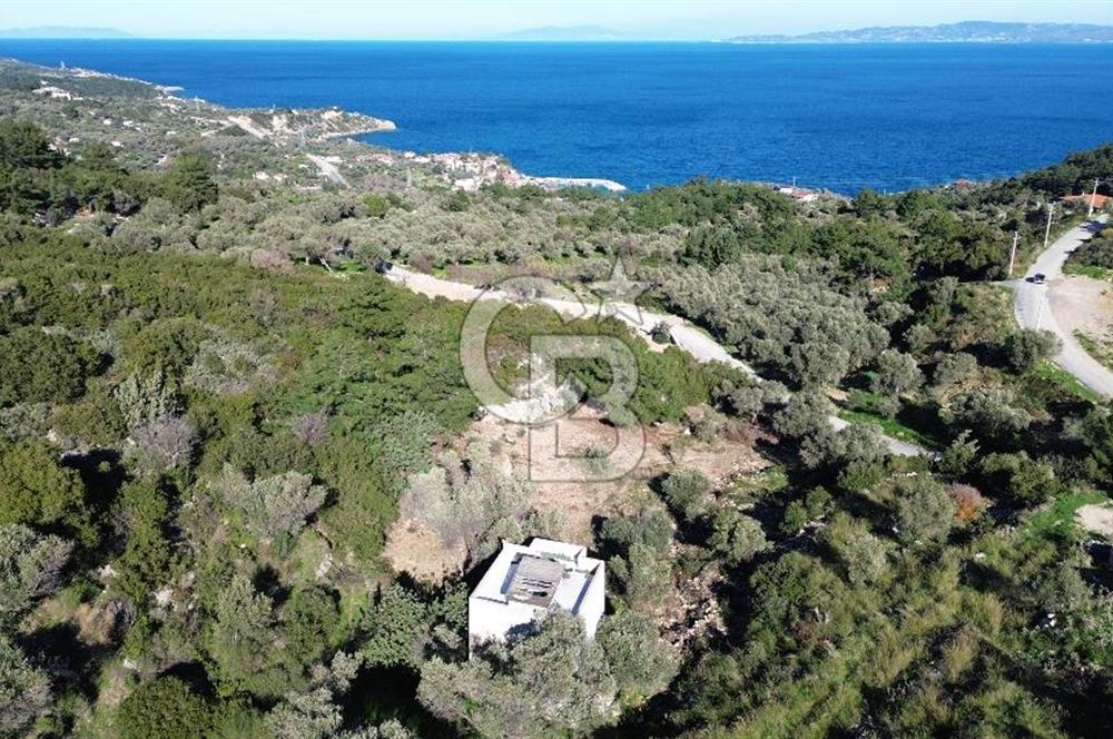 Karaburun İnecik'te İçerisinde 4+1 Müstakil Villa Bulunan Arazi