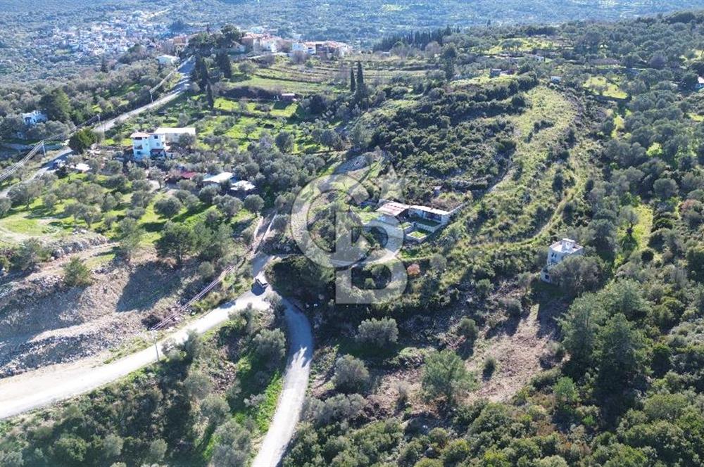 Karaburun İnecik'te İçerisinde 4+1 Müstakil Villa Bulunan Arazi