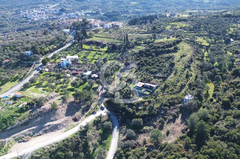 Karaburun İnecik'te İçerisinde 4+1 Müstakil Villa Bulunan Arazi