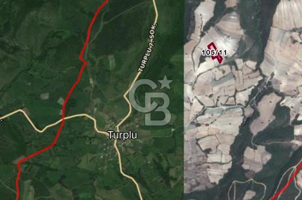 Gönen Turplu’da Satılık Tar