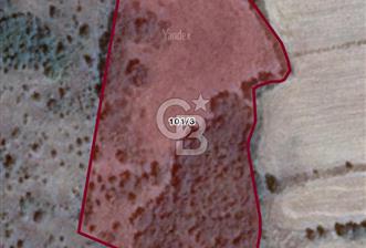 Gönen Ulukır’da Müstakil Tapulu Tarla - 7 - 327026