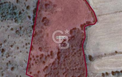 Gönen Ulukır’da Müstakil Tapulu Tarla