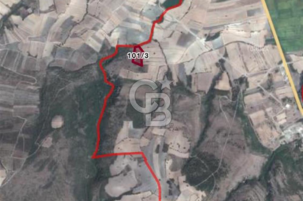 Gönen Ulukır’da Müstakil Tapulu Tarla