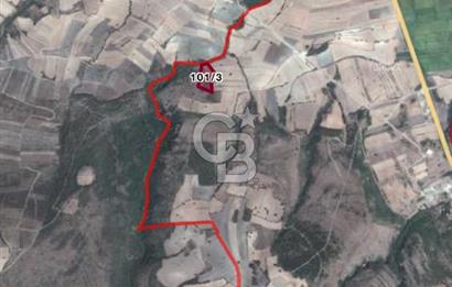 Gönen Ulukır’da Müstakil Tapulu Tarla