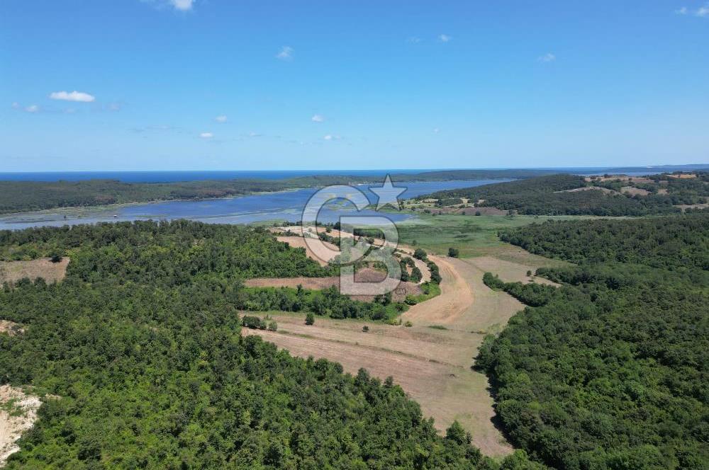 CB NEXUS'DAN ÇATALCA HSAİRBEYLİ DE 4626 M2 YATIRIMLIK ARSA