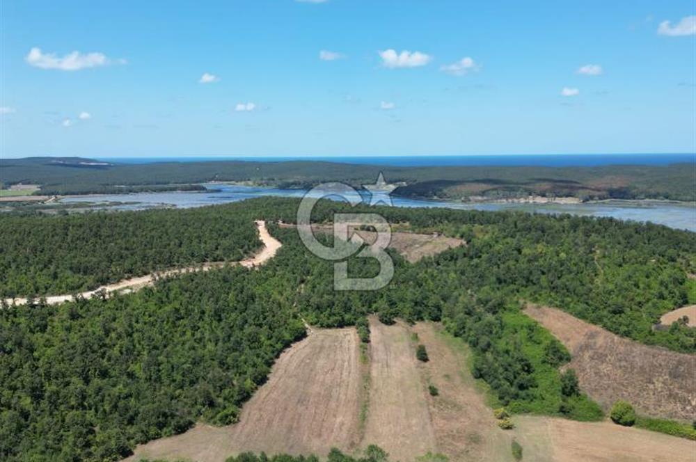 CB NEXUS'DAN ÇATALCA HSAİRBEYLİ DE 4626 M2 YATIRIMLIK ARSA