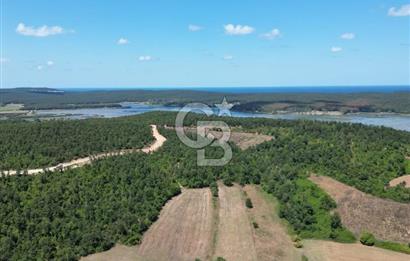 CB NEXUS'DAN ÇATALCA HSAİRBEYLİ DE 4626 M2 YATIRIMLIK ARSA