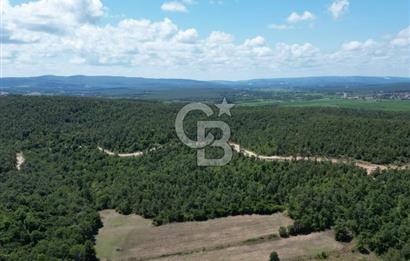 CB NEXUS'DAN ÇATALCA HSAİRBEYLİ DE 4626 M2 YATIRIMLIK ARSA
