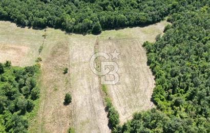 CB NEXUS'DAN ÇATALCA HSAİRBEYLİ DE 4626 M2 YATIRIMLIK ARSA