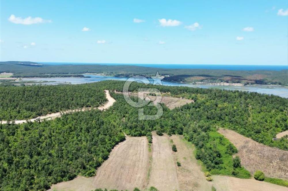 CB NEXUS'DAN ÇATALCA HSAİRBEYLİ DE 4626 M2 YATIRIMLIK ARSA