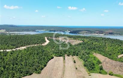 CB NEXUS'DAN ÇATALCA HSAİRBEYLİ DE 4626 M2 YATIRIMLIK ARSA