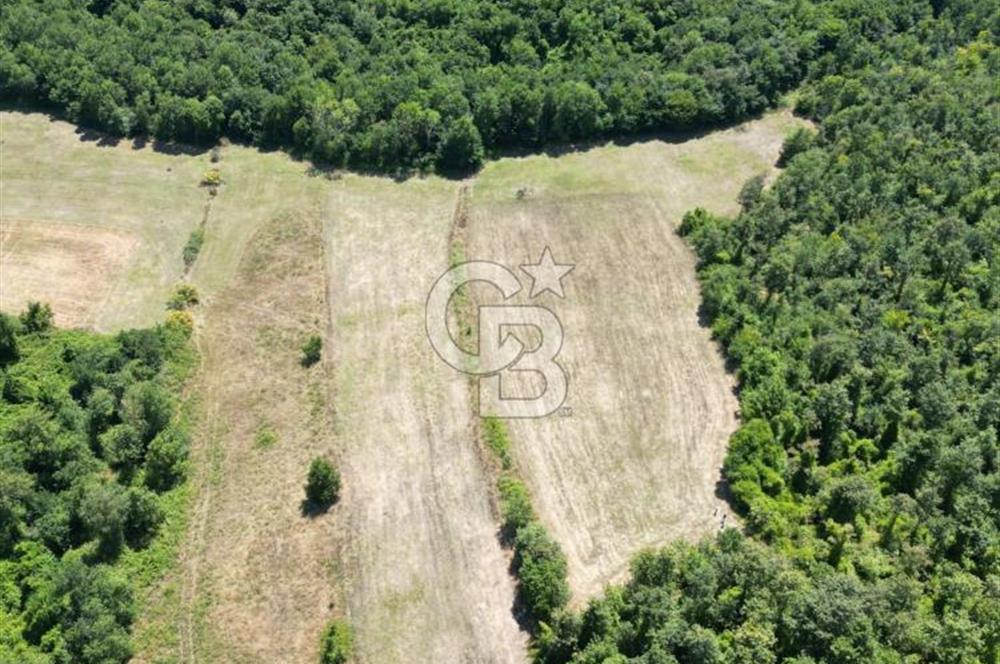 CB NEXUS'DAN ÇATALCA HSAİRBEYLİ DE 4626 M2 YATIRIMLIK ARSA