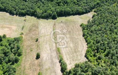 CB NEXUS'DAN ÇATALCA HSAİRBEYLİ DE 4626 M2 YATIRIMLIK ARSA